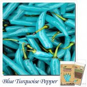 Nadir İthal Mavi Biber Tohumu Ekim Seti 5 Tohum Saksı Toprak Kombin - 2