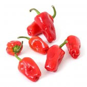 Süper Paket 200 Adet Tohum Acı Urfa İsot Biberi Tohumu Biber Tohumu - 1