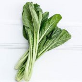 Nadir İthal Çin Yaprak Lahana Tohumu Choy Sum 25 Tohum Ekim Seti Saksı Toprak Kombin thumbnail 2