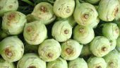 Eko Paket 200 Tohum Meşhur Alabaş Tohumu Kohlrabi Tohumu - 3