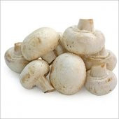 Mantar Tohumu 20 Adet Tohum Kültür Mantarı Tohumu thumbnail 1