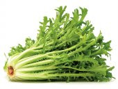 Süper Paket 2000 Adet Tohum Geleneksel Nadir Hindibağ Tohumu Hindiba - 1