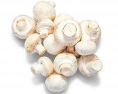 Mantar Tohumu 20 Adet Tohum Kültür Mantarı Tohumu thumbnail 3