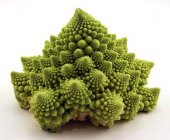 Nadir İthal Piramit Brokoli Tohumu 10 Adet Tohum thumbnail 2