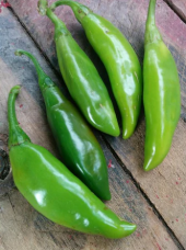 Süper Paket 100 Adet Tohum Nadir Acı Balık Biberi Tohumu Biber Tohumu - 2