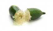 Nadir İthal Parmak Limon Tohumu 3 Adet Tohum - 2