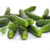 Süper Paket 250 Adet Tohum İthal Nadir Kıtır Kornişon Salatalık Tohumu thumbnail 2