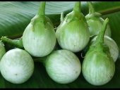 Süper Paket 100 Adet Tohum Thailand Yeşil Dolmalık Patlıcan Tohumu thumbnail 2