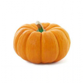 Süper Paket 250 Adet Tohum İri Bal Kabağı Tohumu Kabak Tohumu - 1