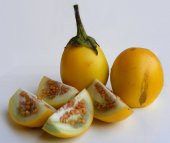 Süper Paket 150 Adet Tohum İthal Thailand Sarı Patlıcan Tohumu thumbnail 3