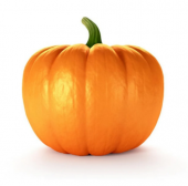 Süper Paket 250 Adet Tohum İri Bal Kabağı Tohumu Kabak Tohumu - 2