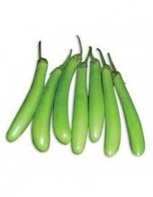 Süper Paket 100 Adet Tohum Nadir Endonezya Yeşil Kemer Patlıcan Tohumu - 2