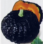 Eko Paket 30 Adet Tohum Nadit İthal Siyah Thailand Kabak Tohumu - 1