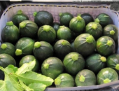 Süper Paket 100 Adet Tohum Yeşil Topak Dolmalık Kabak Tohumu thumbnail 2