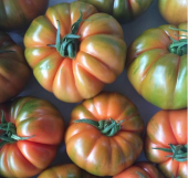 Süper Paket 400 Adet Tohum Orjinal Köy Domatesi Tohumu Domates Tohumu thumbnail 3