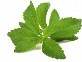 Eko Paket 100 Adet Tohum İthal Stevia Şeker Otu Tohumu Stevia Tohumu thumbnail 3