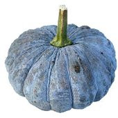 Eko Paket 50 Adet Tohum İthal Thailand Bal Kabağı Tohumu Kabak Tohumu thumbnail 1