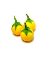 Eko Paket 50 Adet Tohum İthal Thailand Sarı Dolmalık Patlıcan Tohumu thumbnail 1