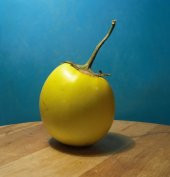 Eko Paket 50 Adet Tohum İthal Thailand Sarı Dolmalık Patlıcan Tohumu thumbnail 2