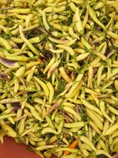 Eko Paket 150 Adet Tohum Acı Sarı Süs Biber Tohumu Süs Biberi Tohumu - 3