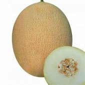 Eko Paket 200 Adet Tohum Ananas Kavun Tohumu Ananas Kavunu Tohumu - 1