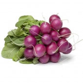 Nadir İthal Mor Turp Tohumu 25 Adet Tohum Romanya Turpu - 1