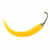 Golden Ceyenne Acı Sarı Biber Tohumu 10 Adet Tohum thumbnail 1