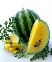 Nadir İthal Sarı Karpuz Tohumu 3 Adet Tohum - 3