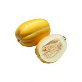 Mini Kore Kavunu Tohumu 5 Adet Tohum Kavun Tohumu - 1