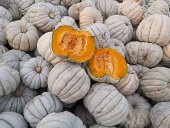 Meşhur Kestane Kabağı Tohumu 5 Adet Tohum Bal Kabak Tohumu - 2