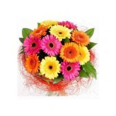 Gerbera Çiçeği Tohumu 5 Adet Tohum Jerbera Çiçek Tohumu - 3