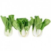 Nadir İthal Çin Lahanası Tohumu 20 Adet Tohum Baby Pak Choi - 1