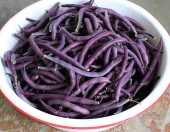 Nadir İthal Mor Fasülye Tohumu 3 Adet Tohum Fasulye Tohumu thumbnail 3