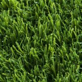 İthal 3lü Karışım Çim Tohumu 250 Gram Tohum - 3