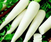 İthal Nadir Beyaz Japon Turpu Tohumu 50 Adet Tohum Daikon Turp Tohumu - 3