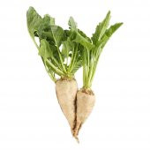 Beyaz Şeker Pancarı Tohumu 50 Adet Tohum Pancar Tohumu - 1