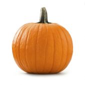 Meşhur Mantal Kabağı Tohumu 5 Adet Bal Kabağı Tohumu - 1