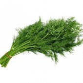 Dereotu Tohumu 100 Adet Tohum Geleneksel Dere Otu thumbnail 1