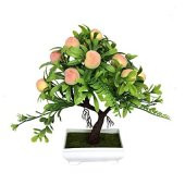 Şeftali Bonzai Ağacı Ekim Seti 1 Adet Tohum Saksı Toprak Kombin thumbnail 1