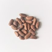 Fıstık Çamı Bonzai Ağacı Ekim Seti 3 Adet Tohum Saksı Toprak Kombin - 5