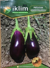 Patlıcan Tohumu Adana Dolmalık - 10 g (~ Takribi 1350 Tohum) thumbnail 1