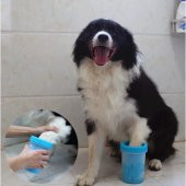 Köpek Pati Yıkama Aparatı BÜYÜK  Irk Köpekler İçin Temizlik Aleti Soft Gentle Pratik Kolay Temizlik - 7