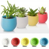 5 Adet Mini Şeker Saksı Kaktüs Saksısı Elvan Saksı Minik Küçük Karışık Renkli Saksı 0,13 Litre - 3