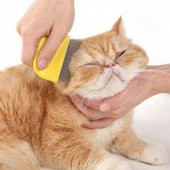 Kedi Köpek Bit ve Pire Tarağı Evcil Hayvan Tarağı Kedi Köpek Temizleme Bakım Tarağı - 2