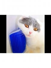Kedi Kaşınma Aparatı Tüy Toplama Aparatı Kedi Oyuncağı Kapıya Takılan Kaşıyıcı - 3