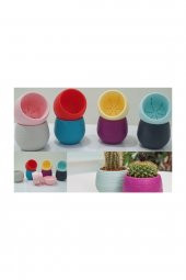 10 Adet Elvan Kaktüs Ve Sukulent Saksısı - 0,13 Litre - 1