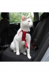 Kedi Köpek Emniyet Kemeri - 5
