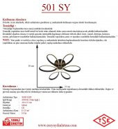 Eray Aydınlatma 501 Siyah Led Avize - 2