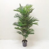 Yapay Ağaç Kentia Palm 150 cm 45-0043 - 1