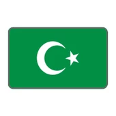 Cg Şeffaf Yeşil Bayrak Far Filmi - 1